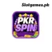 PKRSpin Game