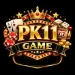 PK11 Game
