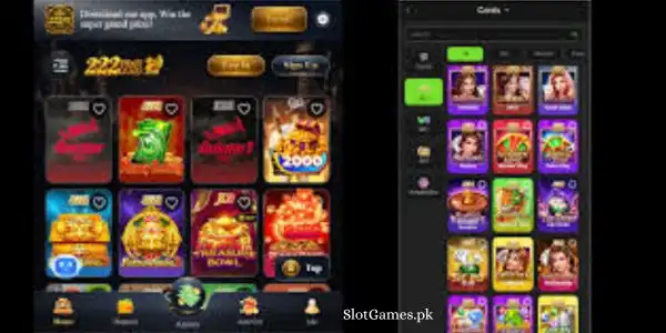 222RS Game