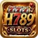 H789 Game