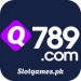Q789 Game